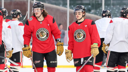 了多样化的 了多样化的